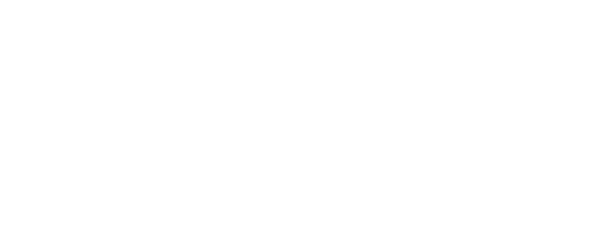 InfoNest IT Consulting & Services Logo